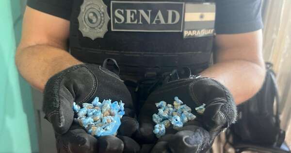 La Nación / En Concepción, cae hombre que vendía sustancias ilegales al menudeo