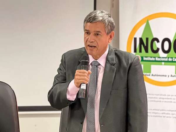 Carlos Romero Roa es nombrado presidente interino del Incoop - Economía - ABC Color