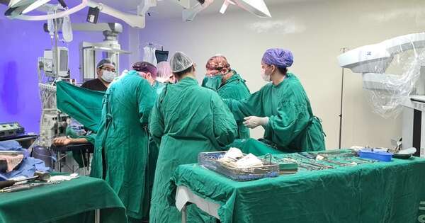 La Nación / Esperanza de vida: realizan el primer trasplante de riñón de cerdo a un paciente vivo
