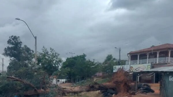 Fuertes vientos azotan Yby Yaú y dejan un herido por caída de árbol - Radio Imperio 106.7 FM