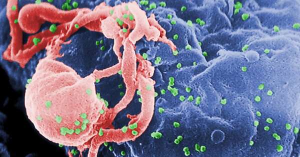 Diario HOY | Novedosa terapia podría ‘cortar’ el VIH de las células infectadas