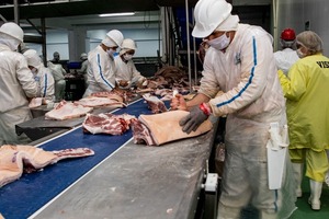 GOBIERNO LOGRA EXONERACIÓN DE ARANCELES PARA EXPORTAR CARNE PORCINA A TAIWÁN - Itapúa Noticias