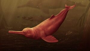 El delfín de río más grande de la historia navegó el Amazonas hace 16 millones de años