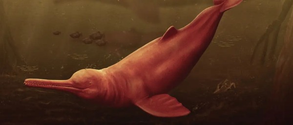Científicos descubren un antiguo delfín gigante amazónico - Megacadena - Diario Digital
