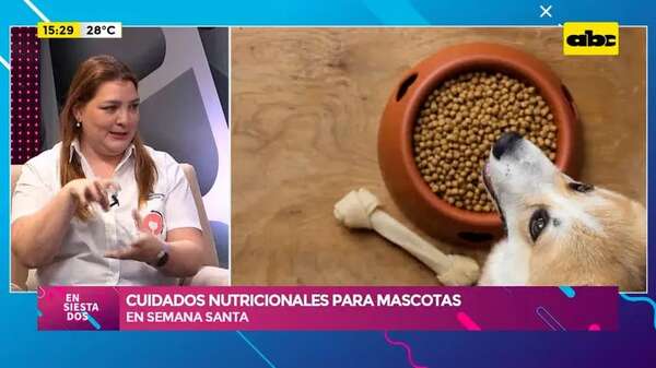 Video: cuidados nutricionales para mascotas en Semana Santa - Ensiestados - ABC Color