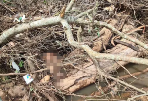 Hallan el cadáver de una anciana en el arroyo Ortega de Caacupé