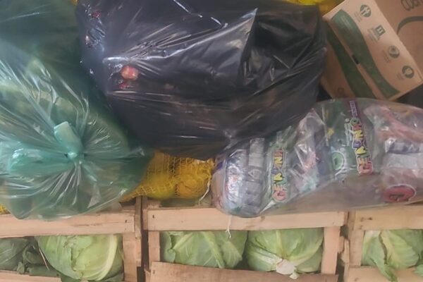 Conductor imputado por transportar productos frutihortícolas y comestibles de contrabando – Diario TNPRESS