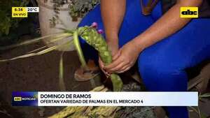 Video: Ofertan variedad de palmas en el Mercado 4 - ABC Noticias - ABC Color