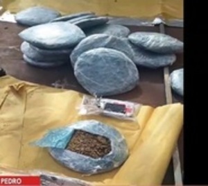 Importante incautación de marihuana en San Pedro - Paraguay.com