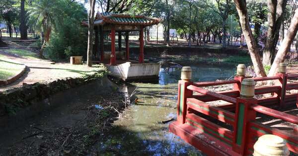 La Nación / Casos de dengue están en su peor momento en Ciudad del Este