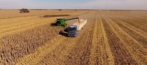 La soja generó en febrero divisas por USD 681 millones y Argentina es el mayor comprador - La Tribuna