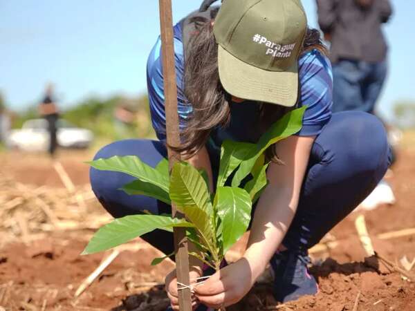 Plantan más de 3.000 nuevos árboles nativos en jornada “Paraguay Planta” - Nacionales - ABC Color