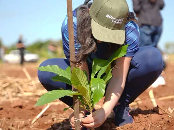 Plantan más de 3.000 nuevos árboles nativos en jornada “Paraguay Planta” - Nacionales - ABC Color