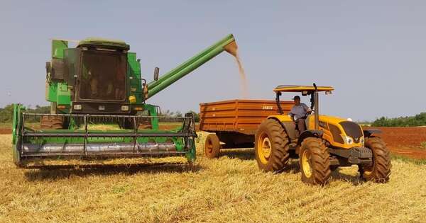 La Nación / Reducciones en agricultura impulsan convergencia de precios al productor