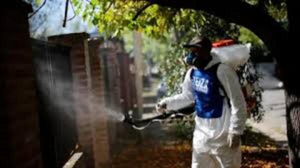Argentina vive un histórico brote de dengue