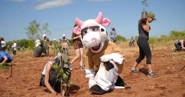 Diario HOY | Suman miles de nuevos árboles en la octava edición de Paraguay Planta