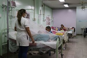 Ciudad del Este al borde del colapso: casos de dengue alcanzan niveles críticos - ADN Digital