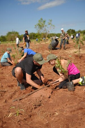 Octava edición de Paraguay Planta suma 3.700 árboles nativos - trece