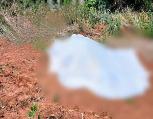 Iba en busca de miel: hombre fallece tras sufrir ataque de enjambre de abejas - Radio Imperio 106.7 FM