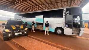 Bus de turismo que salió de Mariano Roque Alonso cae con marihuana en Brasil