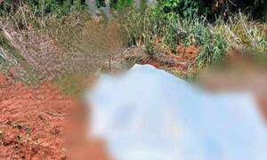 ¡Abejas asesinas! Insectos atacaron y mataron a un hombre de 47 años