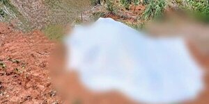 Iba en busca de miel: hombre fallece tras sufrir ataque de enjambre de abejas