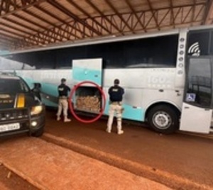 Interceptan bus paraguayo con marihuana en Brasil - Paraguay.com