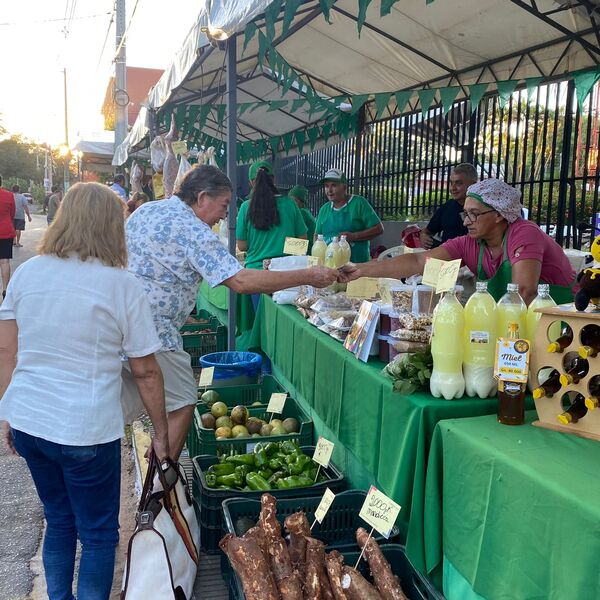 ¡Arrancó la feria de agricultura familiar en El Trece! - trece