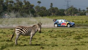 Versus / El Rally Safari de Kenia atrae a todos este fin de semana con presencia paraguaya