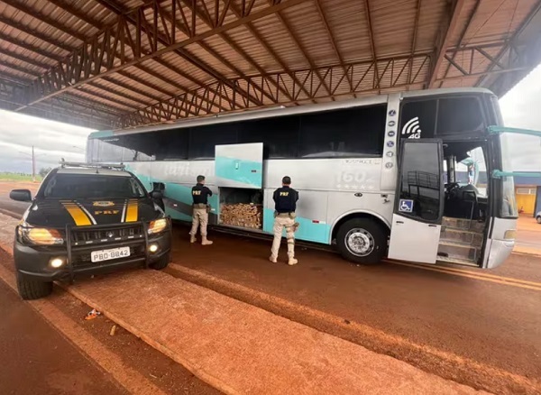 Incautan 550 kilos de marihuana en bus con turistas paraguayos
