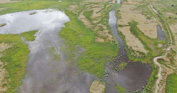 Diario HOY | Realizan limpieza vegetal y despeje de sedimentos en el Río Pilcomayo
