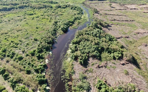 Limpiaron el Río Pilcomayo de sedimentos y vegetales acumulados en zona de General Díaz - .::Agencia IP::.