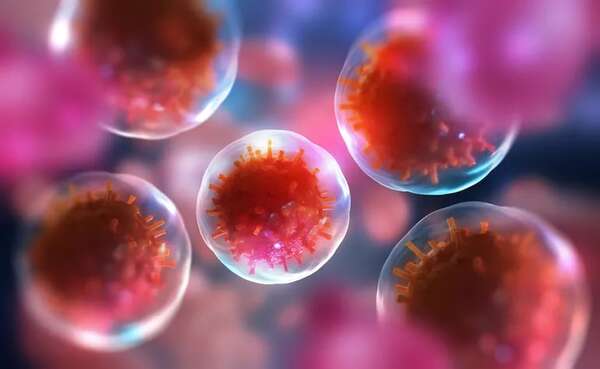 Japón detecta aumento de infección bacteriana por una variante rara - Ciencia - ABC Color