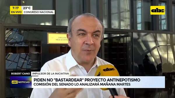 Video: Piden no “bastardear” proyecto antinepotismo - ABC Noticias - ABC Color