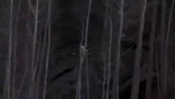 Asesinó a un hombre, disparó a los policías y se escapó por un bosque