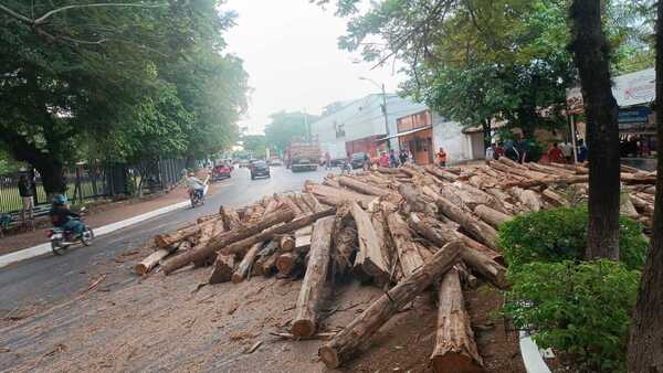 Video: Carga de rollos de madera se desprende de camión en Yaguarón