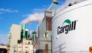 Juzgado cajonea caso de supuesta estafa de Cargill - El Independiente