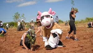 Vamos por más: #ParaguayPlanta registró 3.700 árboles plantados en un solo día