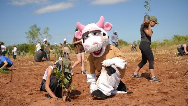 Vamos por más: #ParaguayPlanta registró 3.700 árboles plantados en un solo día