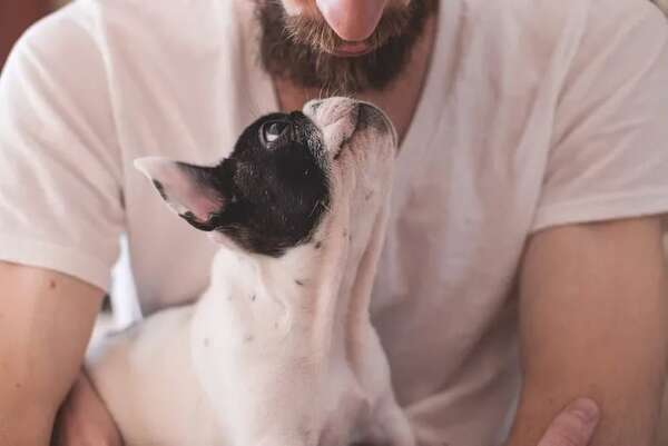 Cómo crear el vínculo perfecto con nuestras mascotas - Mascotas - ABC Color