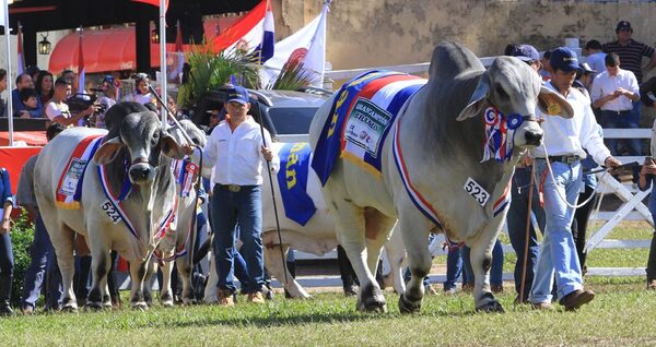 Paraguay tiene un estatus sanitario envidiable y reúne condiciones para exportar a cualquier mercado, defiende ministro - .::Agencia IP::.