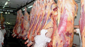 Carne paraguaya a EEUU: se exigirá respeto al status sanitario envidiable