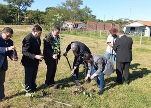 Inician plan de arborización de Juzgados de Paz en Valenzuela