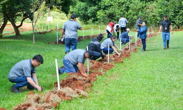 Por el día de los bosques, siembran 500 árboles en Tatí Yupí