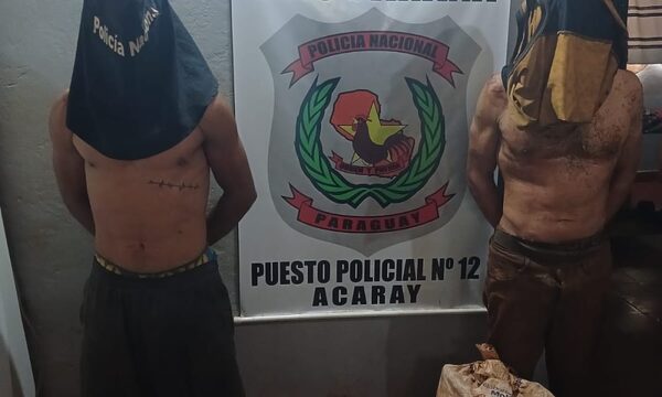Fueron detenidos en plena chacra robando mandioca