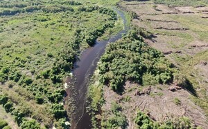 Limpiaron el Río Pilcomayo de sedimentos y vegetales acumulados en zona de General Díaz - ADN Digital