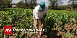 JUSTICIA NO DA RESPUESTAS PARA 400 PRODUCTORES ESTAFADOS EN SAN PEDRO DEL PNÁ. - Itapúa Noticias