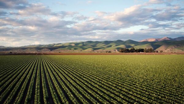 Concurso Startups AgTech: buscan startups agrícolas de base tecnológica de Latinoamérica