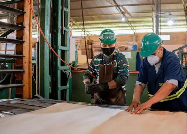 La economía creció finalmente 4,7% en el último año confirmó el BCP - Economía - ABC Color