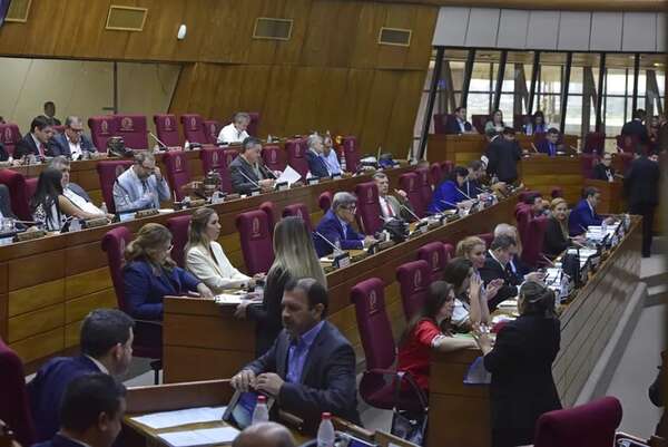 Sancionan acuerdo para “ciudades fronterizas” - Política - ABC Color